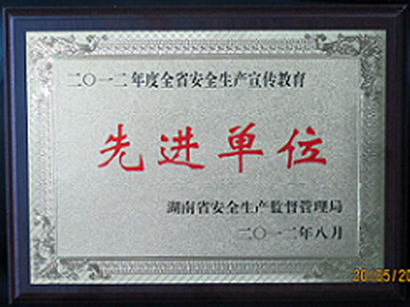 全国先进基层党组织